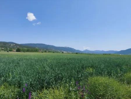 Schnäppchengrundstück Zum Verkauf In Çameli Bıçakçı – 5.333 M² Freistehende Eigentumsurkunde