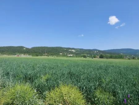 Schnäppchengrundstück Zum Verkauf In Çameli Bıçakçı – 5.333 M² Freistehende Eigentumsurkunde