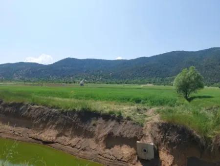 Schnäppchengrundstück Zum Verkauf In Çameli Bıçakçı – 5.333 M² Freistehende Eigentumsurkunde