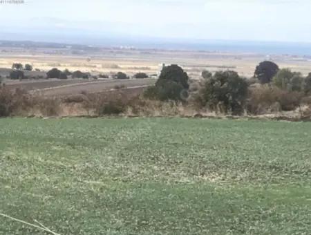 Canakkale Biga Koruobada Schnäppchen Mit Meerblick 9 715 M2 Freistehendes Freistehendes Fruchtbares Grundstück Zum Verkauf
