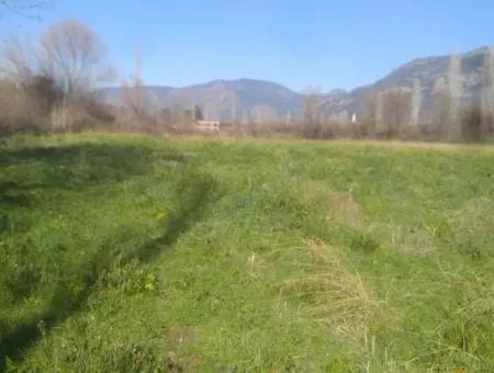 Land Zum Verkauf In Bargain Detached Zeytinalani