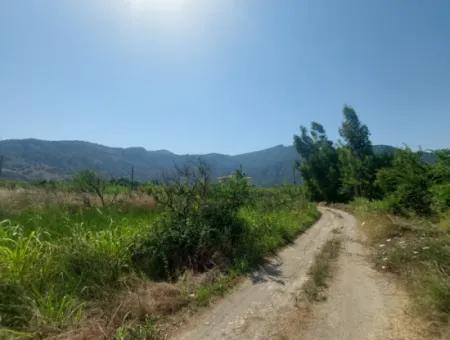 5.200 M² Zitronen- Und Orangengarten ???????? Zu Vermieten In Dalyan, Muğla