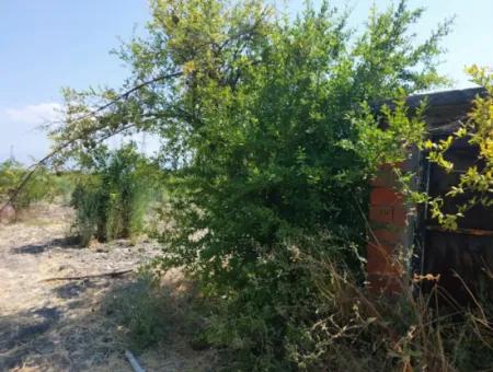 2.800 M² Grundstück Zum Verkauf In Dalyan, Muğla, In Der Nähe Des Dalyan-Kanals