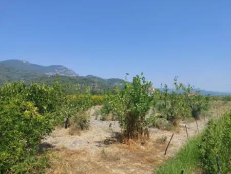 2.800 M² Grundstück Zum Verkauf In Dalyan, Muğla, In Der Nähe Des Dalyan-Kanals