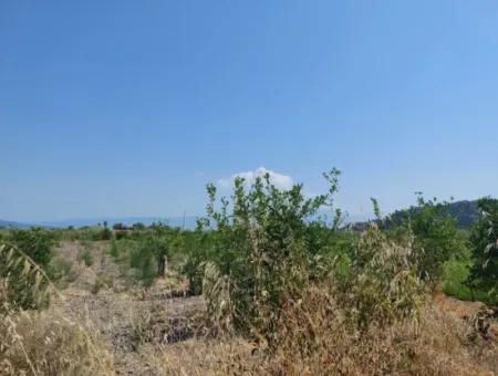 2.800 M² Grundstück Zum Verkauf In Dalyan, Muğla, In Der Nähe Des Dalyan-Kanals