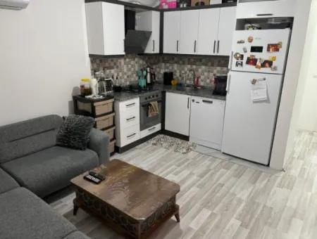 1 1 Wohnung Zu Verkaufen In Cumhuriyet