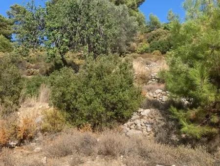 Tourismus-Zonen Grundstücke Zum Verkauf In Fethiye Mit Meerblick Faralya