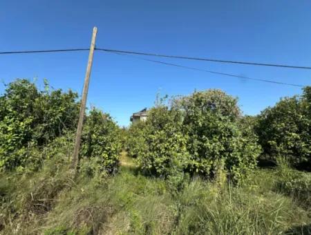 529 M2 Eckgrundstück Zum Verkauf In Ortaca Fevziye