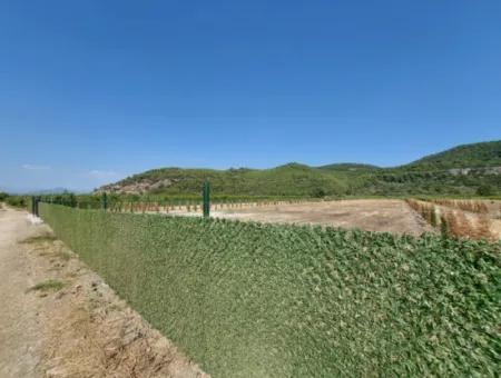 Genossenschaftsanteile Zum Verkauf In Ortaca Güzelyurt – 270 M²
