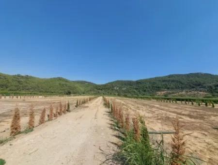 Genossenschaftsanteile Zum Verkauf In Ortaca Güzelyurt – 270 M²