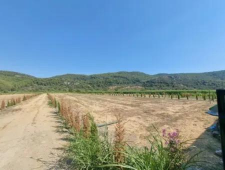 Genossenschaftsanteile Zum Verkauf In Ortaca Güzelyurt – 270 M²