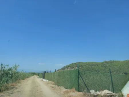Genossenschaftsanteile Zum Verkauf In Ortaca Güzelyurt – 270 M²