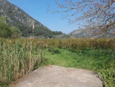 7.989 M² 150 M² Granatapfelgarten Mit Baugenehmigung Zum Verkauf In Ortaca Mergenli