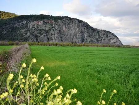 Freistehende Fruchtbare Schnäppchen Land Zum Verkauf In Ortaca Mergenli