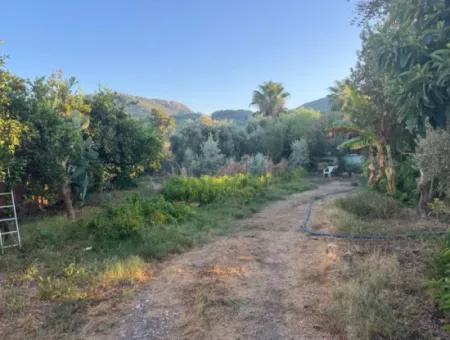 Muğla, Ortaca, Okçular Gute Lage 650 M2 Grundstück Dringender Verkauf