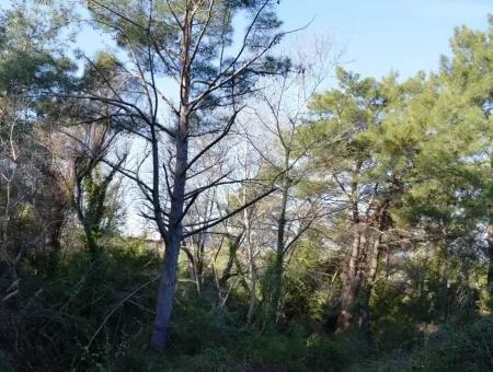 Wertvolle Waterfront Land Zum Verkauf In Tlos Fethiye Kragen