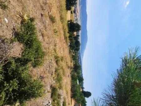 Fethiye, Nif Te, 2 100 M2, Zu Verkaufen, Schnäppchengrundstück