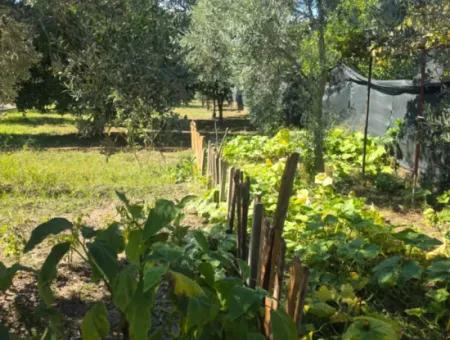 2 1, 70 M2 Dorfhaus Zum Verkauf Auf 902 M2 Land Null Zur Ortaca Akıncı Sarıgerme Road