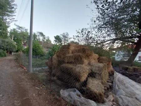 350 M2 Freistehendes Tiny House Geeignetes Grundstück Zum Verkauf In Ortaca Çaylı