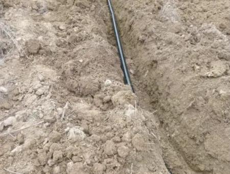 37.000 M² Walnussgarten In Denizli Tavas Ulukent Zum Verkauf