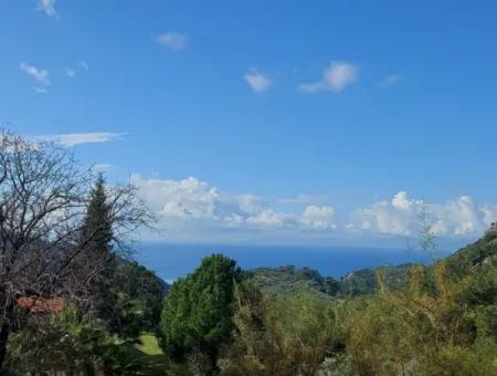 Ortaca Gökbel Abgetrenntes 2.640 M² Land Mit Meerblick Zum Verkauf