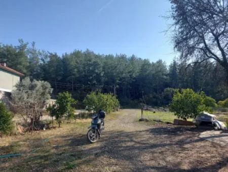 Muğla, Köyceğiz, Kavakarası 2 1, 3 Unabhängige Kelepir-Dorfhäuser Zum Verkauf Auf Einem 1500 M² Großen Grundstück