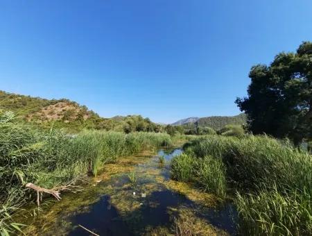 Weinberg Garten Zoning Land Zu Verkaufen In Gocek Inlice