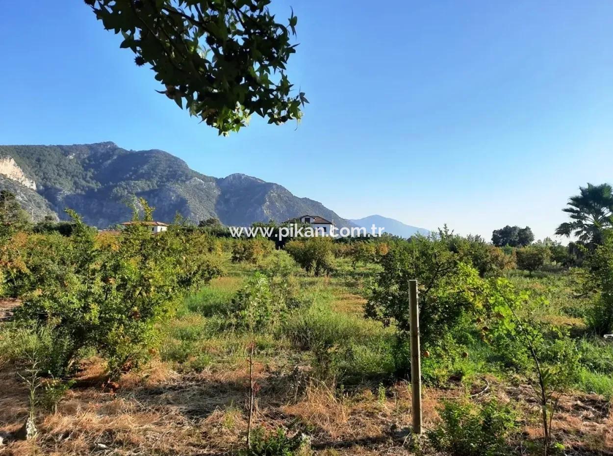 Land Suitable For Investment For Sale In Mugla Dalyan Marmarlı