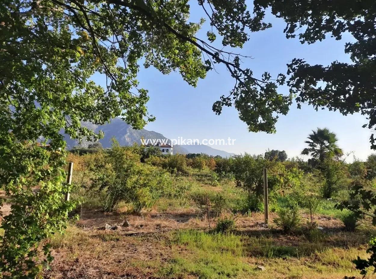 Land Suitable For Investment For Sale In Mugla Dalyan Marmarlı
