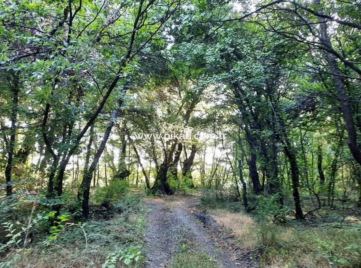 Land Suitable For Investment For Sale In Mugla Dalyan Marmarlı