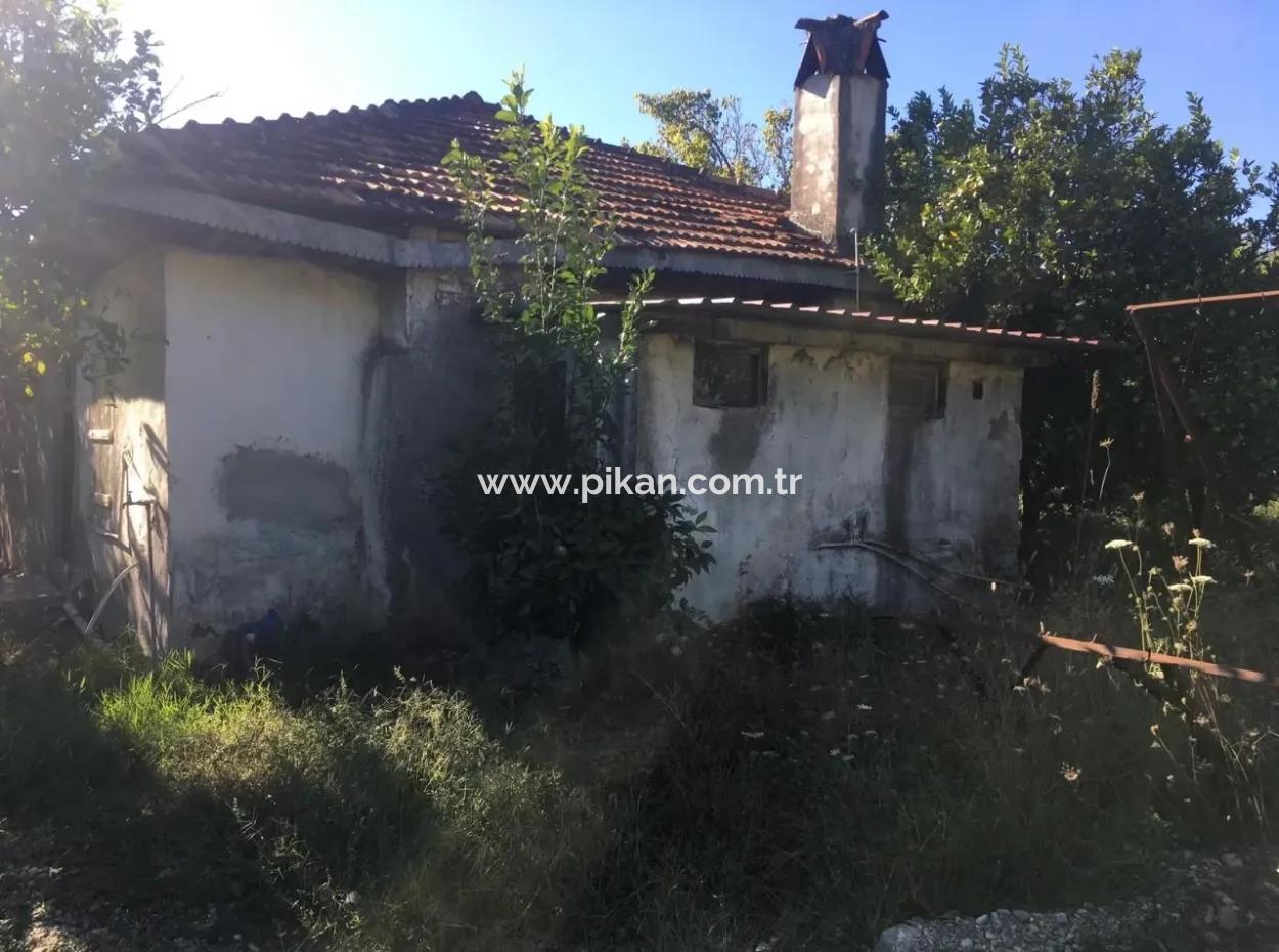 Land And Old Village House For Sale In Köyceeğiz Fire