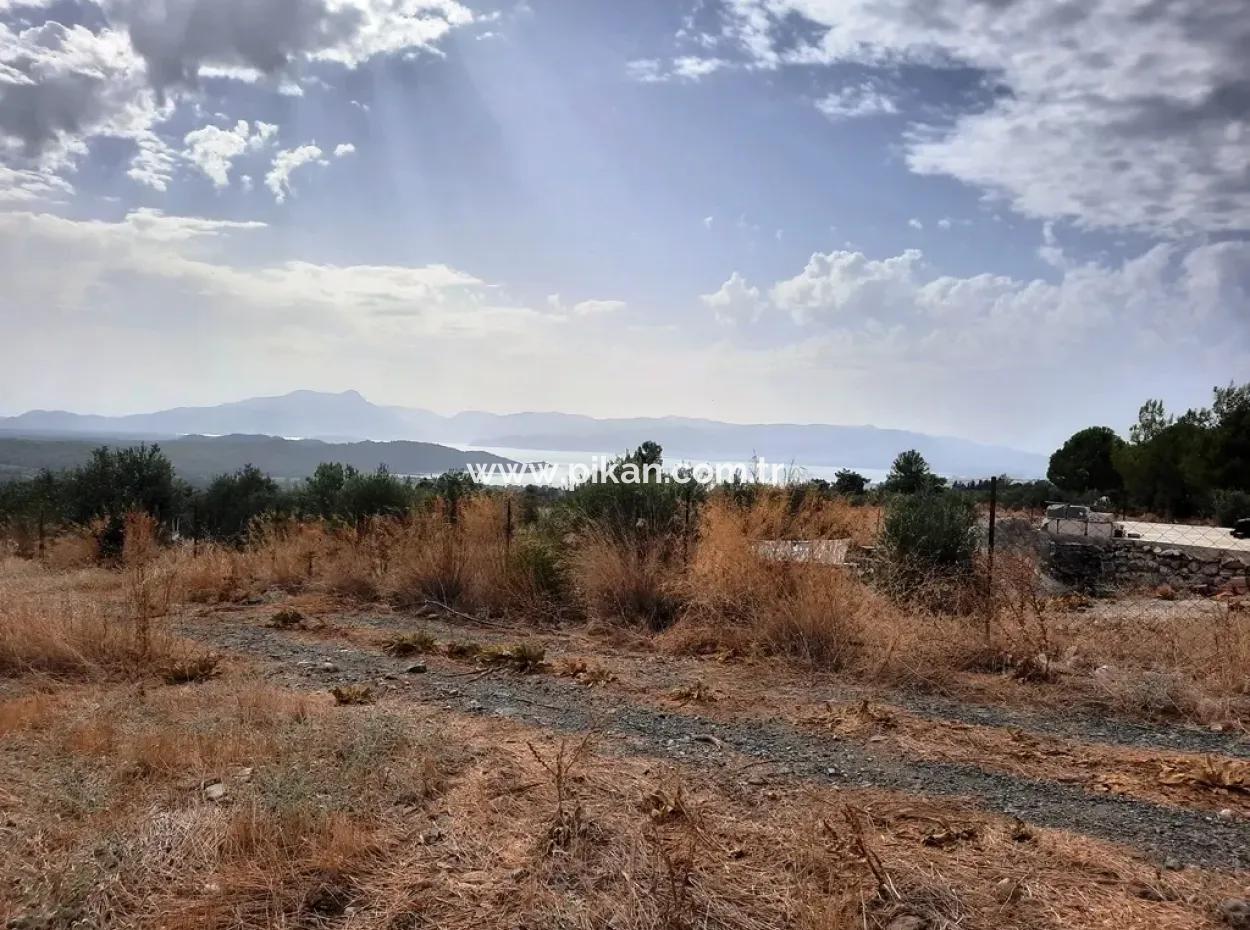 Detached Land With Lake Views For Sale In Köyceeğiz Zeytin Area