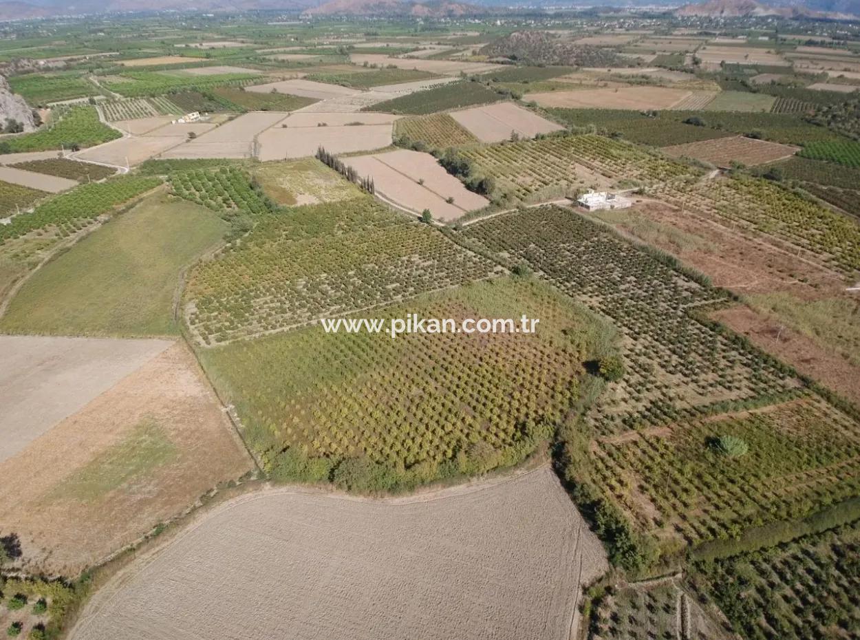 Detached Fertile Bargain Land For Sale In Ortaca Mergenli
