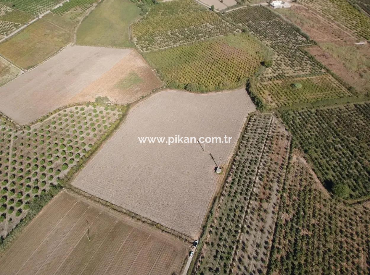 Detached Fertile Bargain Land For Sale In Ortaca Mergenli