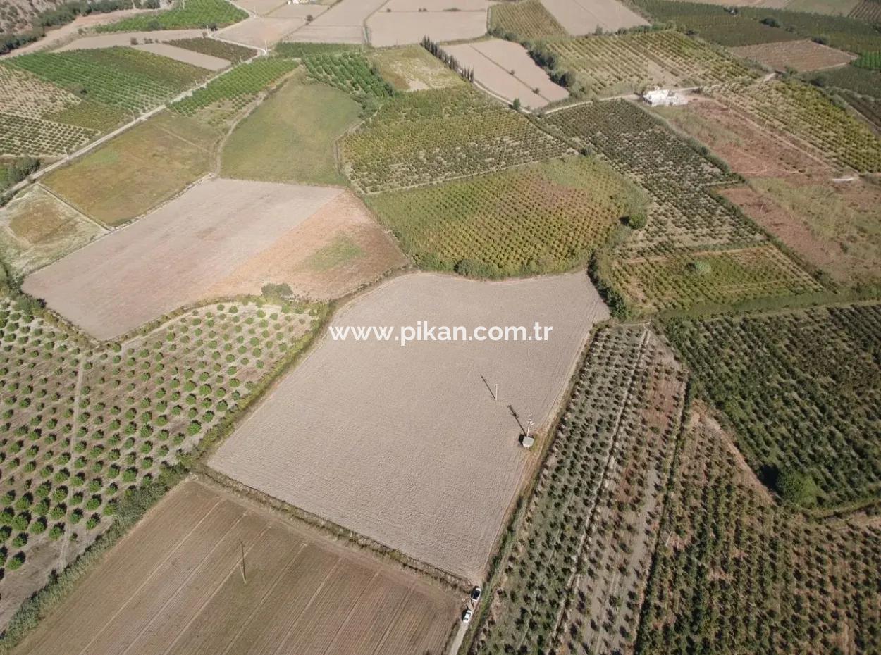 Detached Fertile Bargain Land For Sale In Ortaca Mergenli