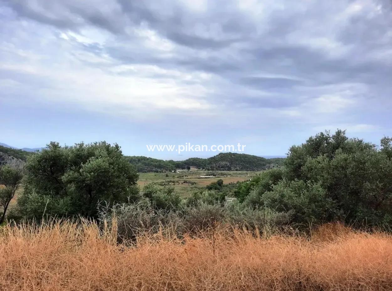 Mugla Ortaca Sarıgerme 880 M2 Full Sea And Nature View Plot For Sale