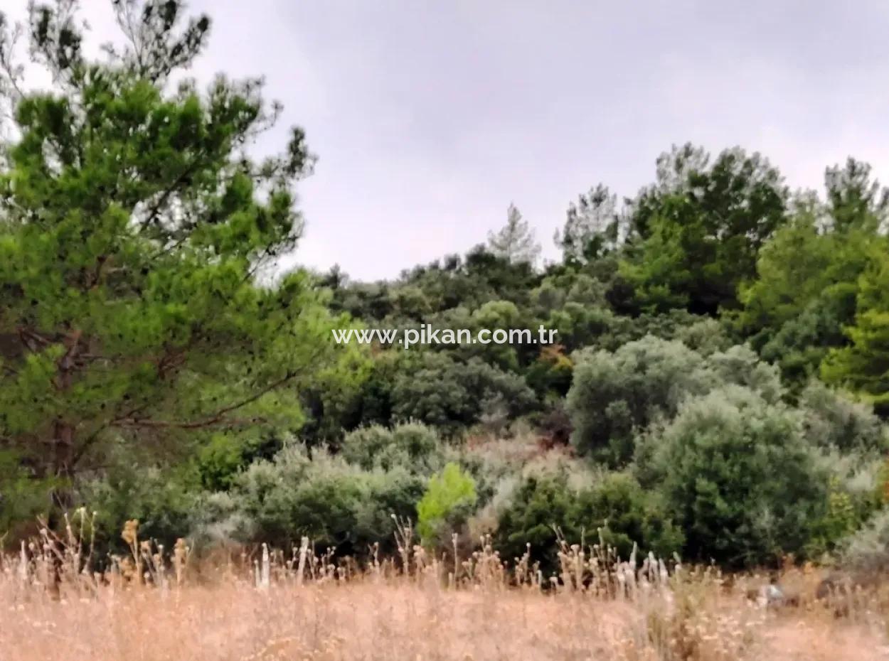 Mugla Ortaca Sarıgerme 880 M2 Full Sea And Nature View Plot For Sale