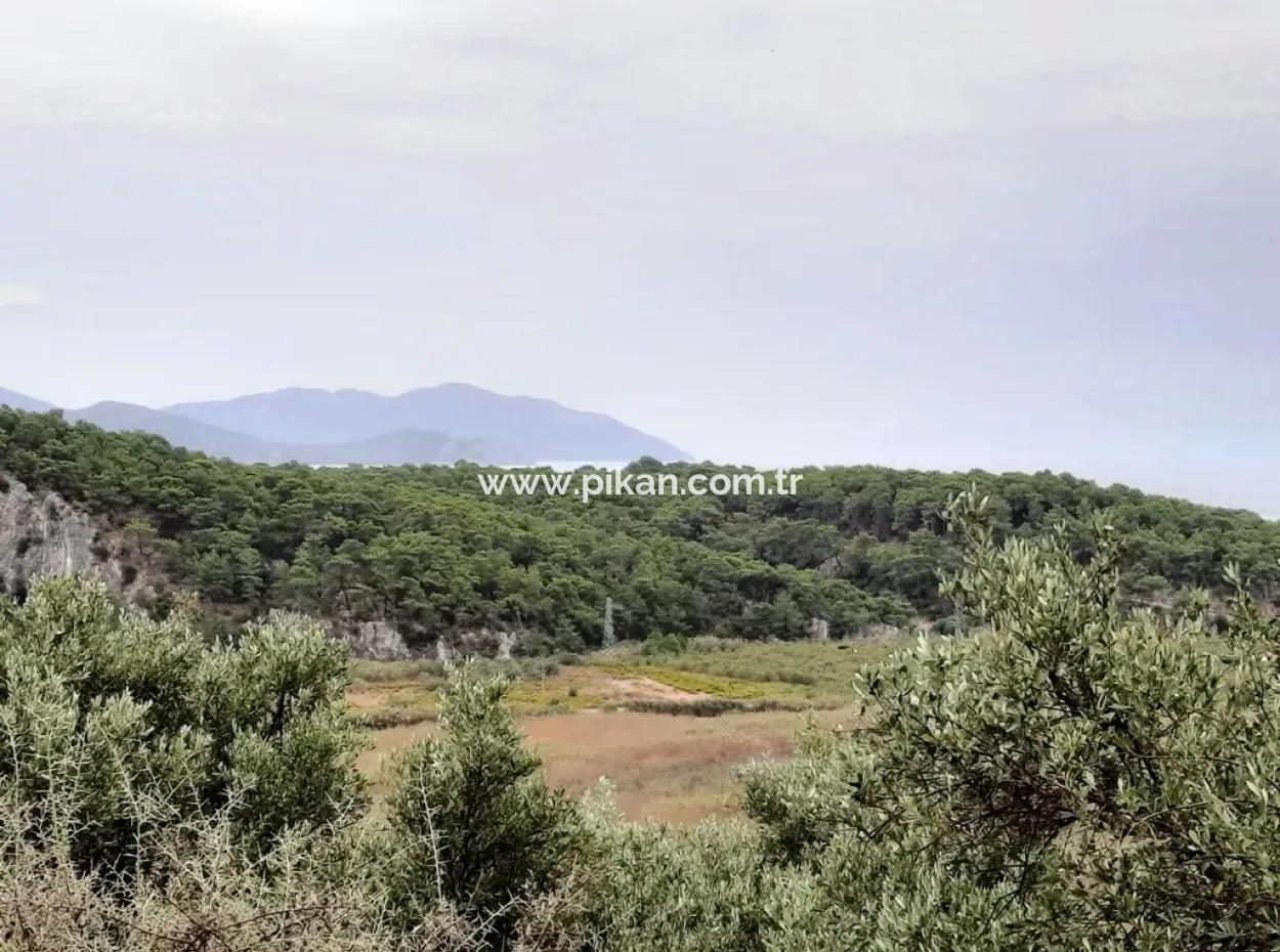 Mugla Ortaca Sarıgerme 880 M2 Full Sea And Nature View Plot For Sale