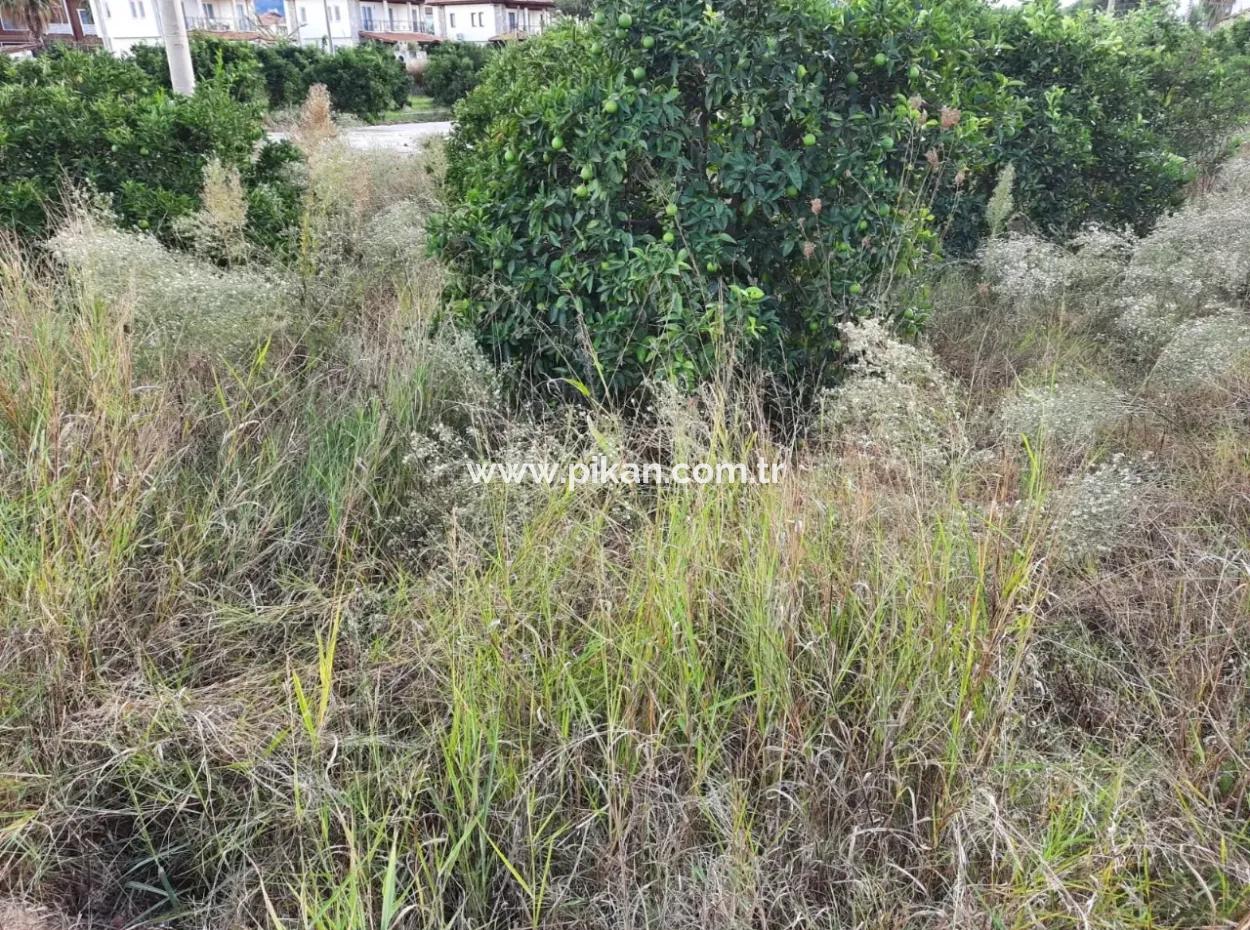 Mugla Dalyan Bargain Zoning Land For Sale