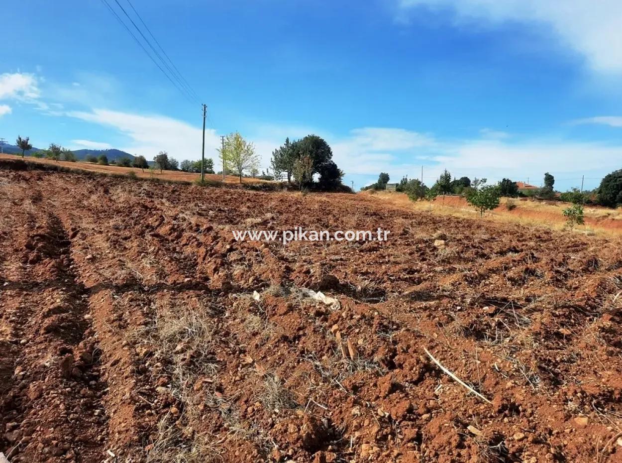 Denizli Çameli Cevizli 2 700 M2 Land And Village House For Sale