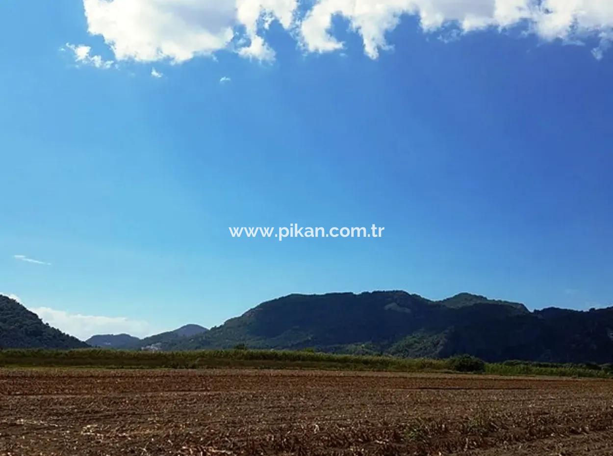 Fertile Bargain Land For Sale In Muğla Ortaca Güzelyurt