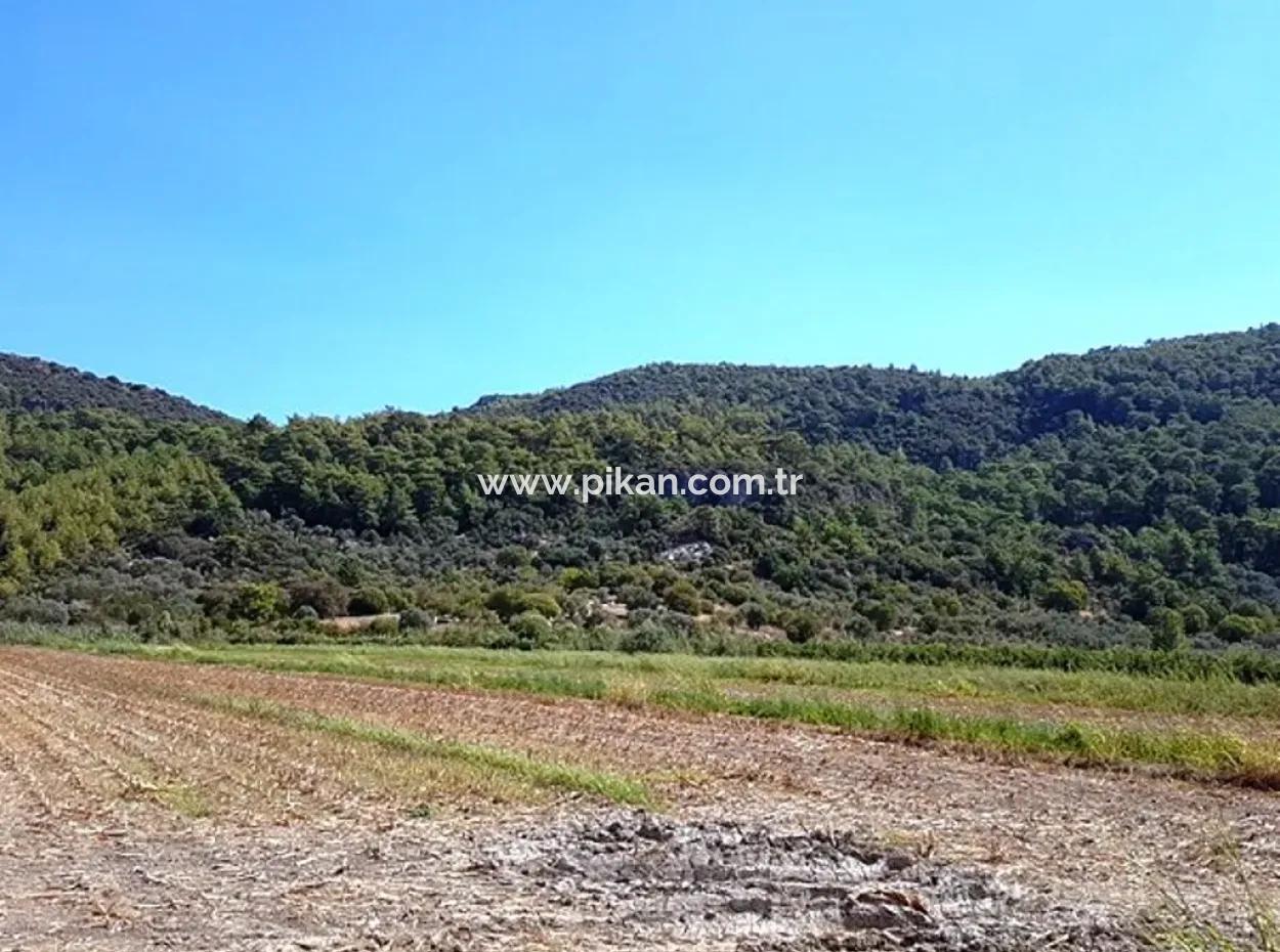 Fertile Bargain Land For Sale In Muğla Ortaca Güzelyurt