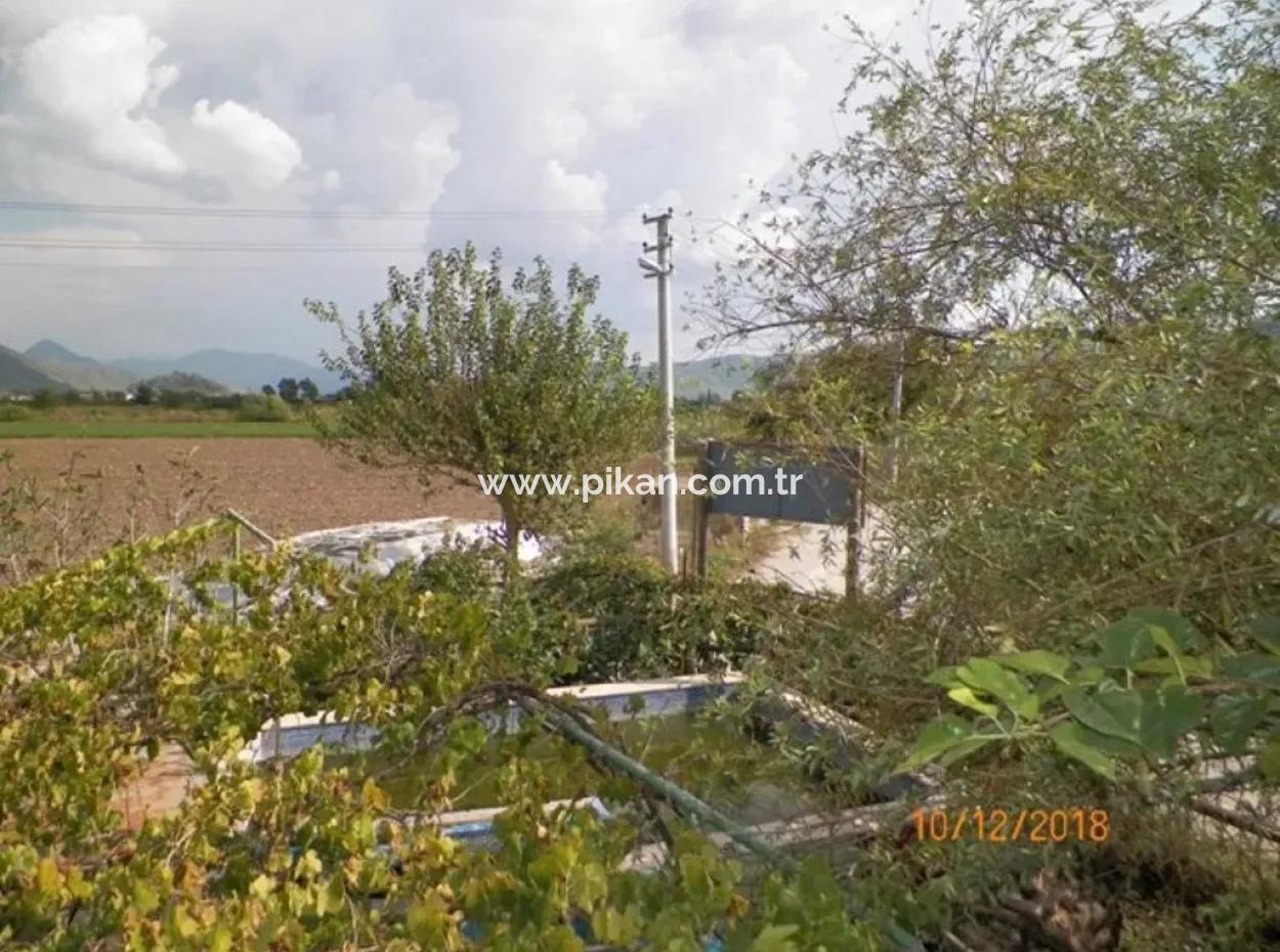 12 000 M2 Farm For Sale Certified Organic Agriculture Oriya Eskiköy