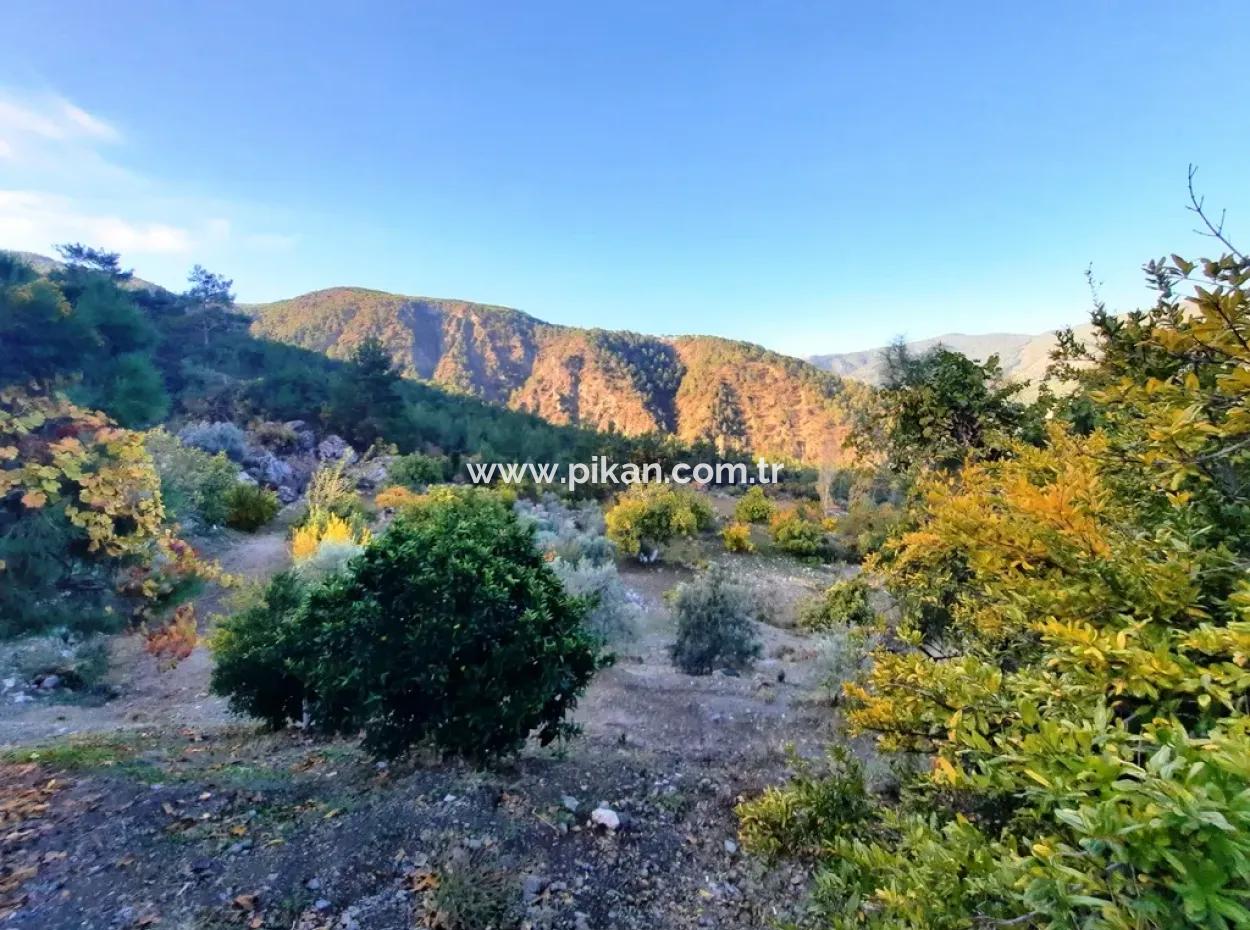 Mugla Dalaman Narli 1800 M2 Bargain Land For Sale