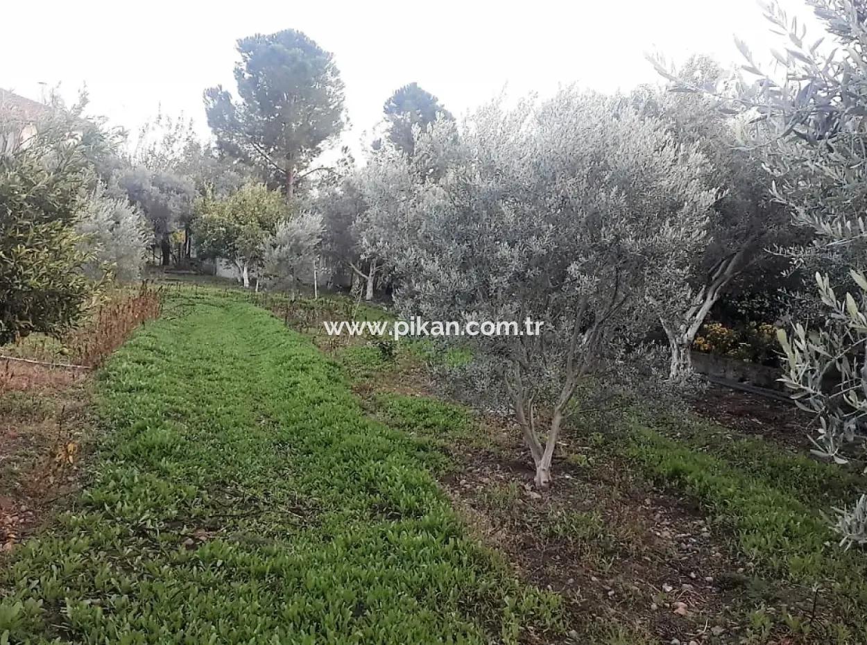 Zoning Plots With Lake Views For Sale In Köyceğinz Toparlar