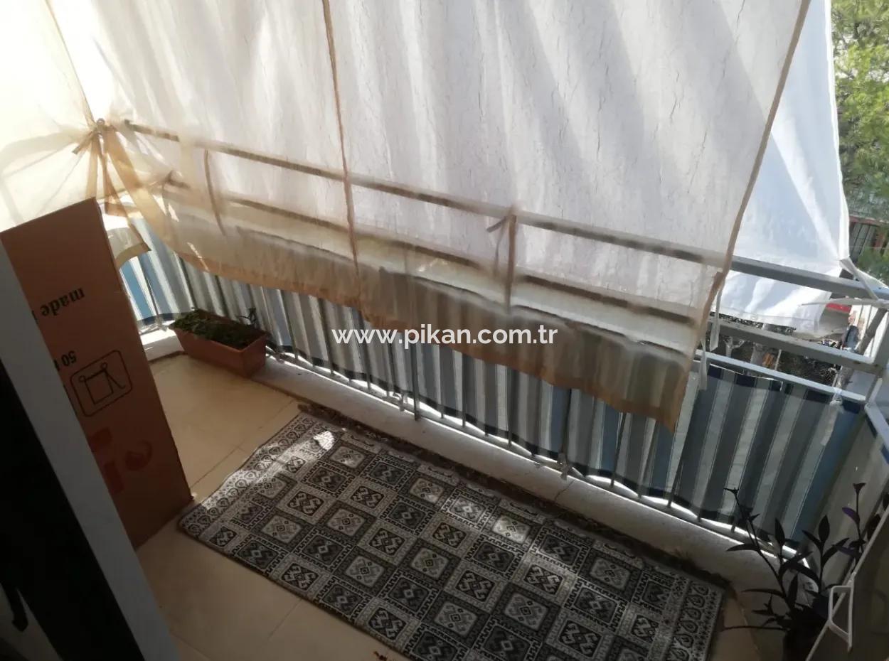 3 1 Bargain Apartments For Sale In Ortaca Center