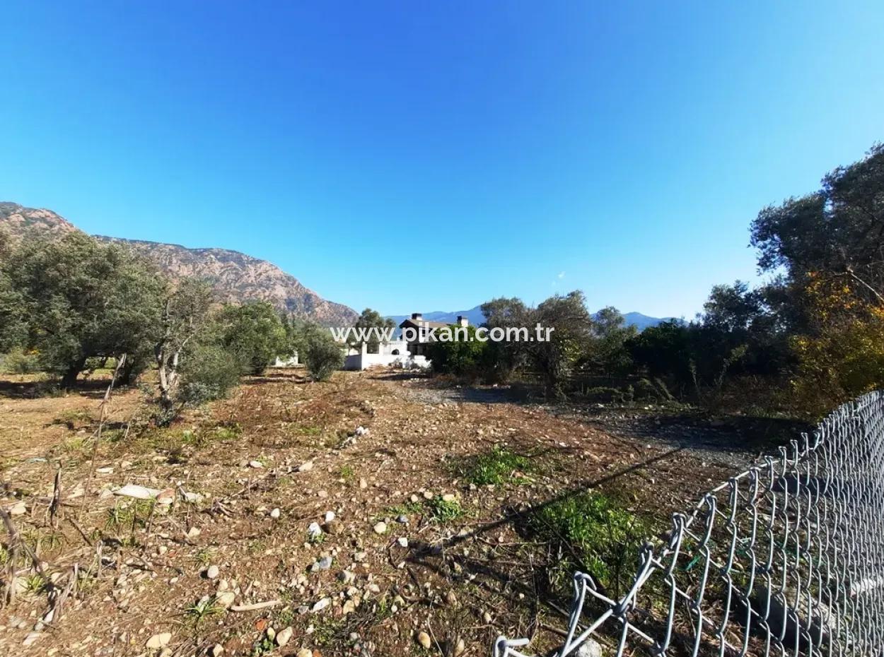 2,000 M2 Kelepir Detached Zoning Land For Sale In Köyceğinz Topars