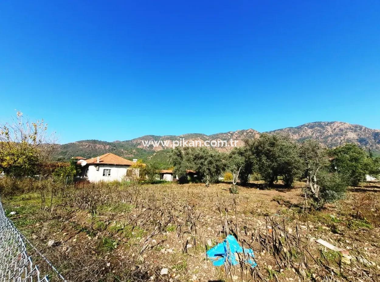 2,000 M2 Kelepir Detached Zoning Land For Sale In Köyceğinz Topars