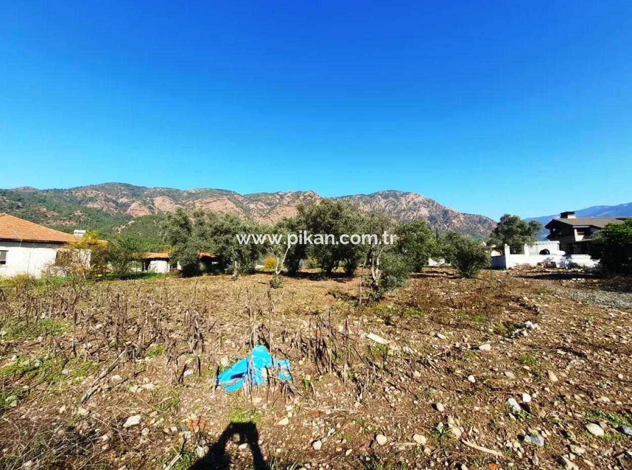 2,000 M2 Kelepir Detached Zoning Land For Sale In Köyceğinz Topars