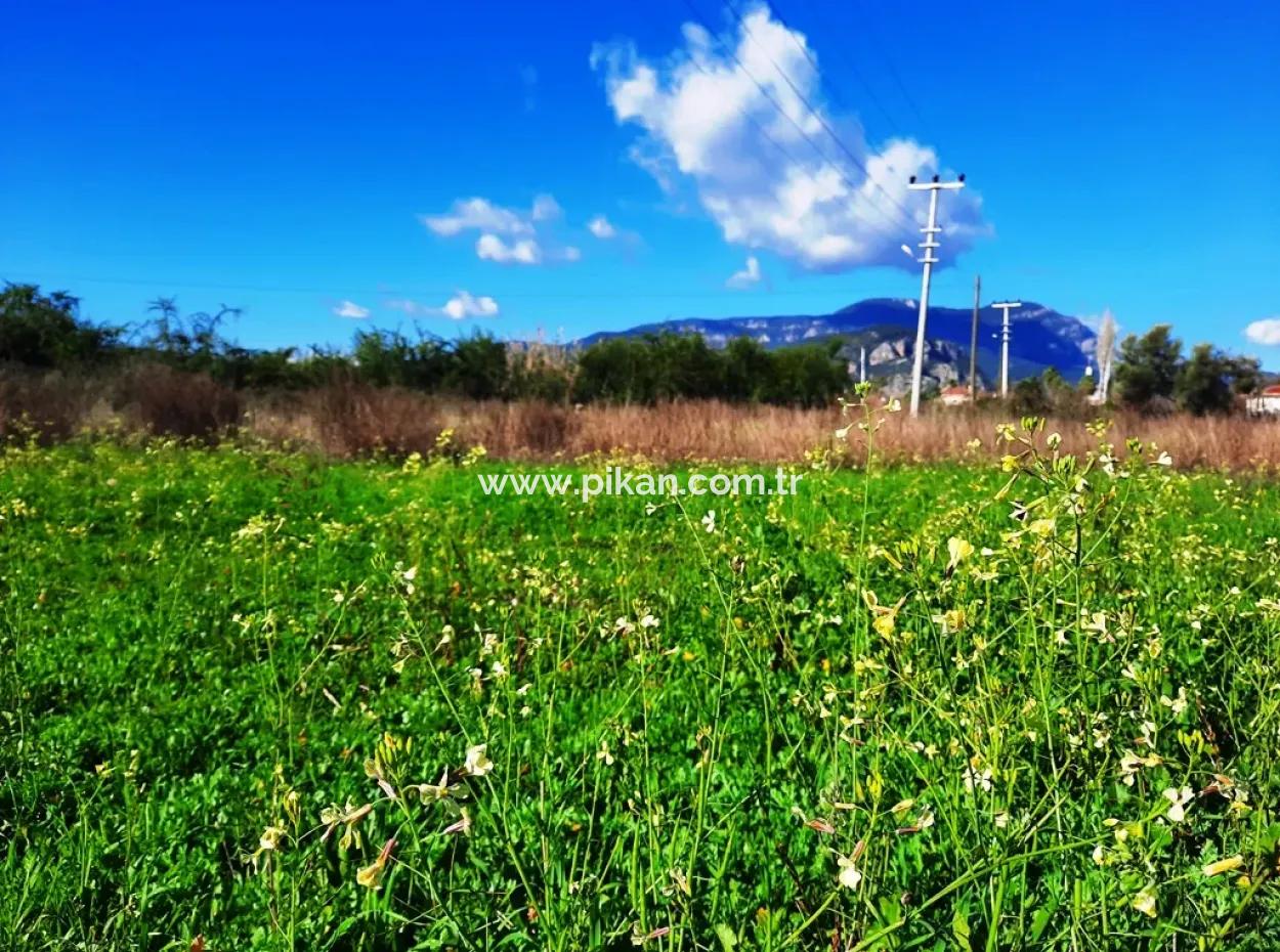 Mugla Ortaca Dalyan Is Also Fertile Land Suitable For 9 300 M2 Investment With Road Facades For Sale